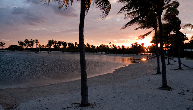Matheson Hammock Park Beach em Miami