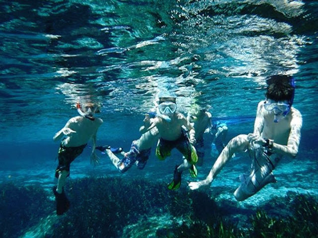  Orlando Dive & Snorkel Tours em Orlando 