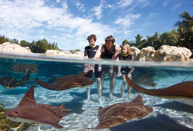 Discovery Cove em Orlando no mês de Maio