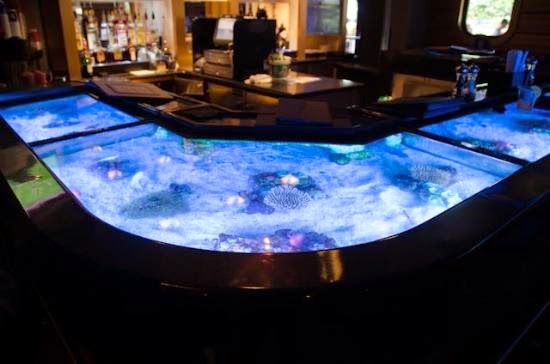 Restaurante Sharks Underwater Grill do SeaWorld em Orlando