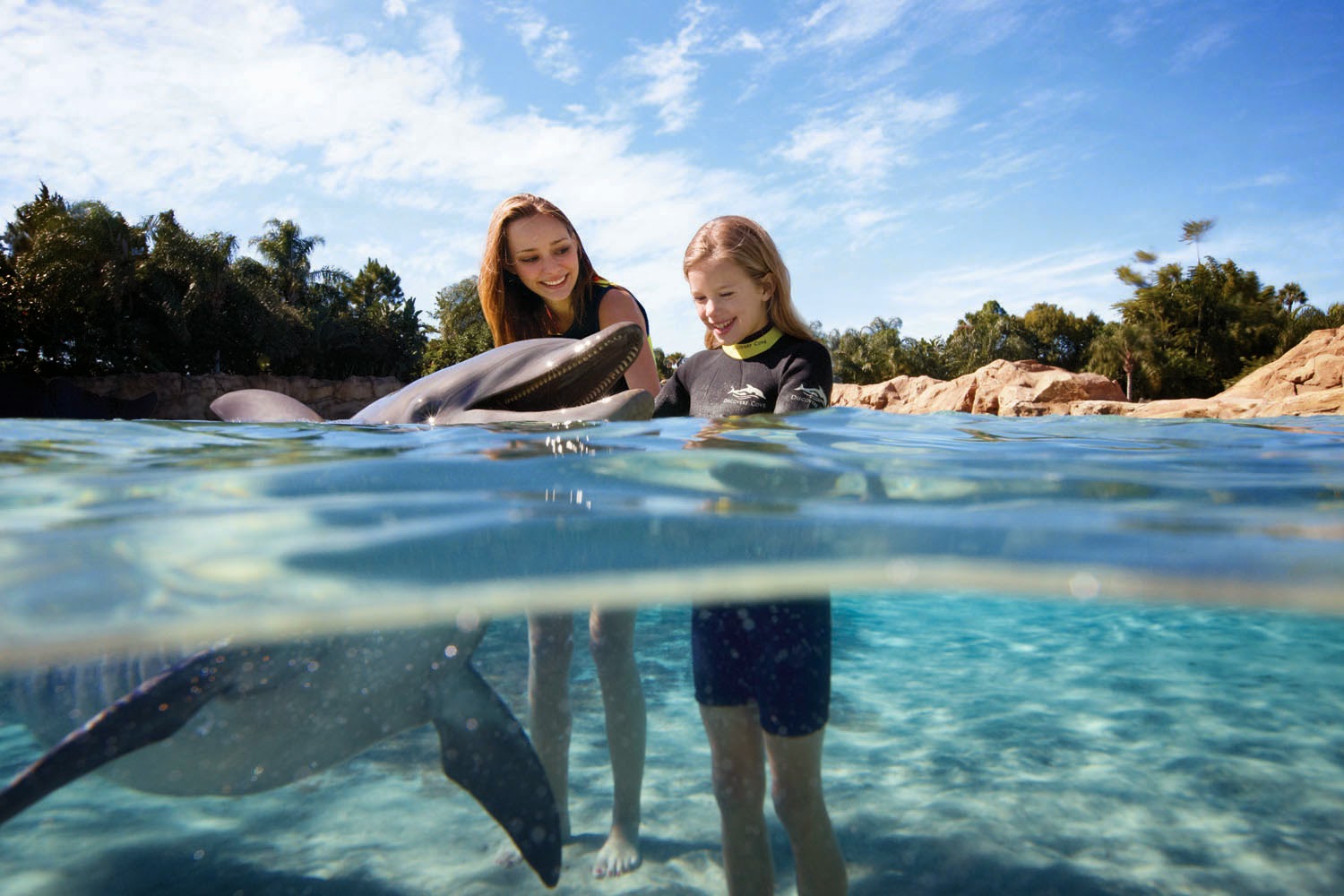 Nadando com golfinhos no parque Discovery Cove em Orlando