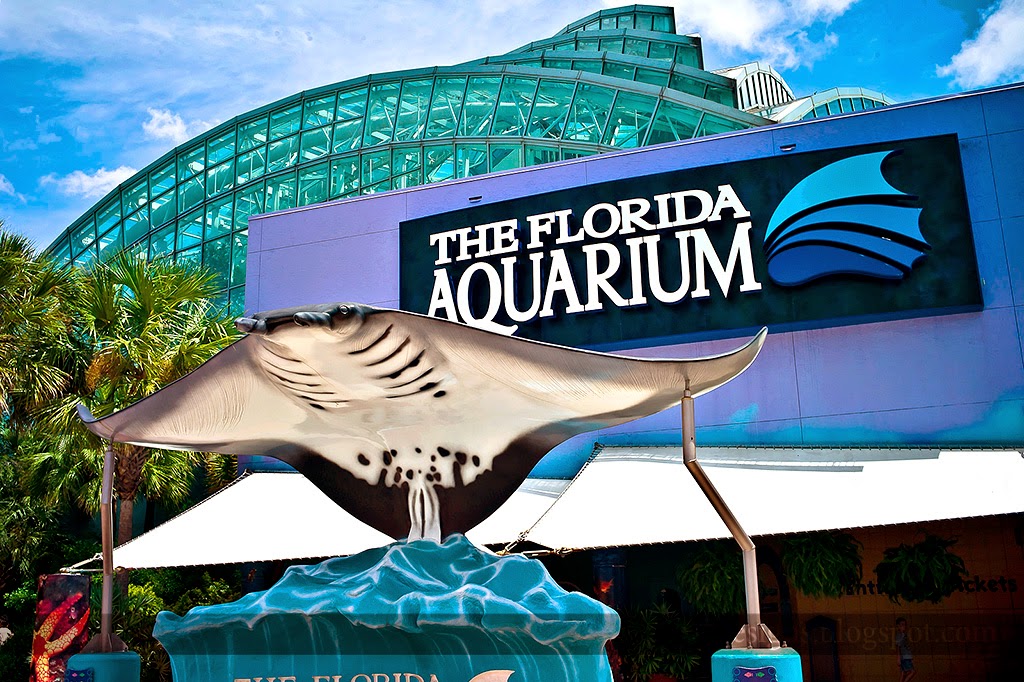 Florida Aquarium em Tampa na Flórida