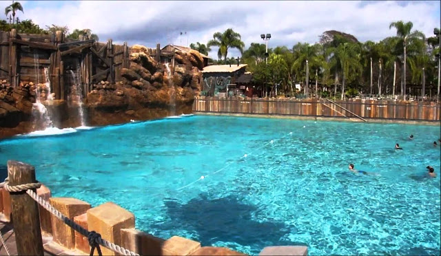 Typhoon Lagoon Disney Piscina