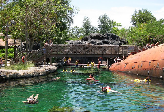 Disney Typhoon Lagoon Parque Tubarao