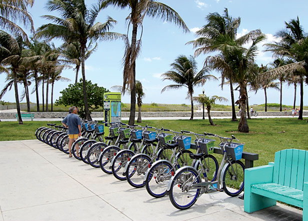 DecoBike Andar de Bicicleta Miami