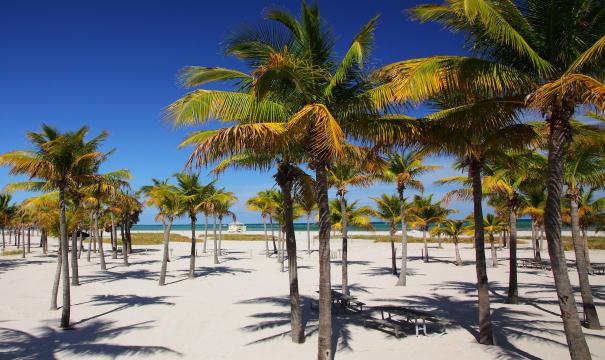 Crandon Park Praia Miami