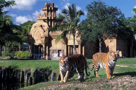 Zoológico de Miami - Miami Zoo