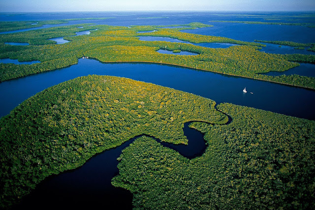 Everglades Florida Miami