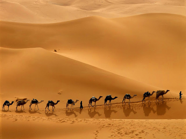 Sahara - Foto de Hassan Ouatou