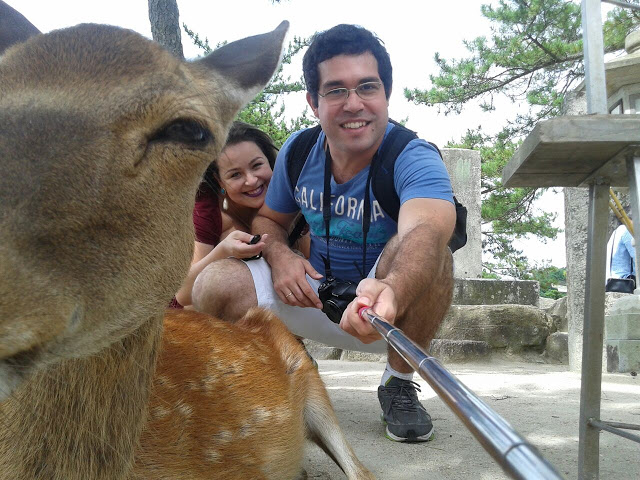 Selfie com veado na ilha de Miyajima, Japão