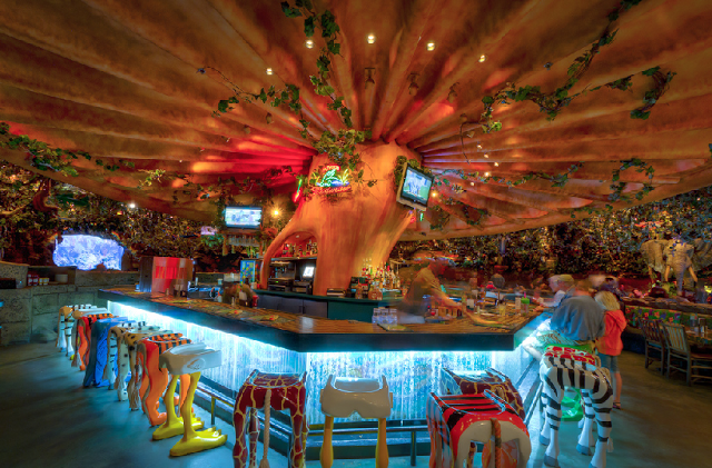 Restaurante Rainforest Cafe no Animal Kingdom em Orlando