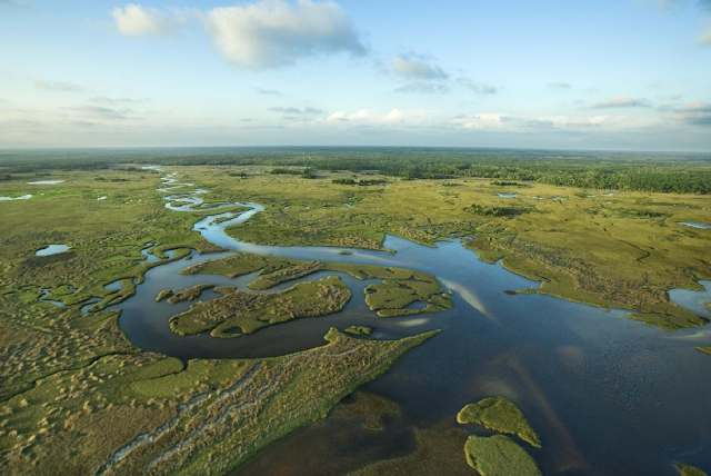 Everglades em Miami