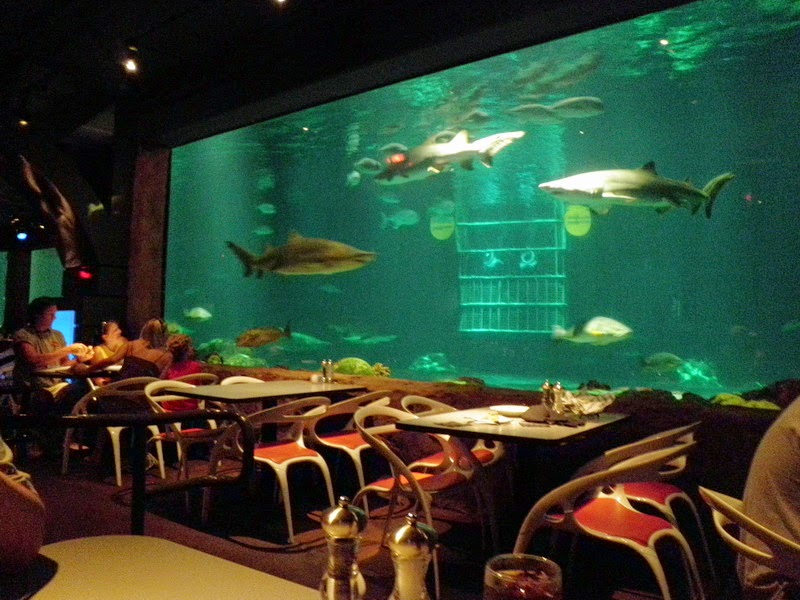 Restaurante Sharks Underwater Grill do SeaWorld em Orlando