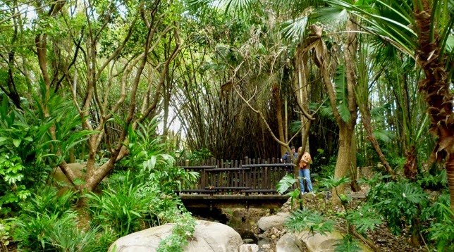 Harry P. Leu Gardens em Orlando