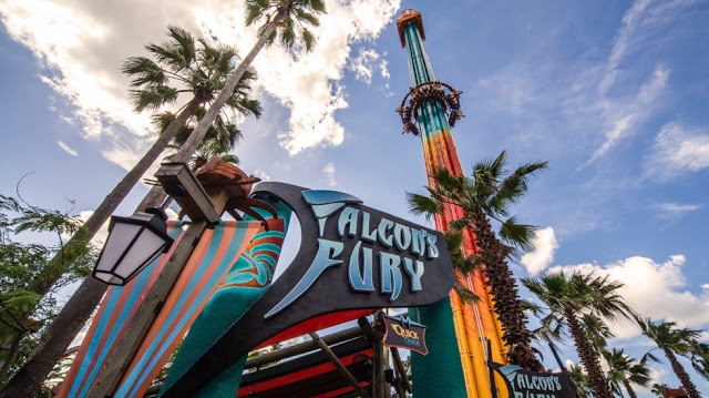 Falcons Fury Busch Gardens Tampa em Orlando