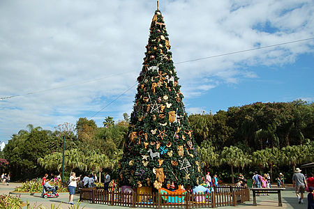 Natal Disney - Animal Kingdom Jingle Parade