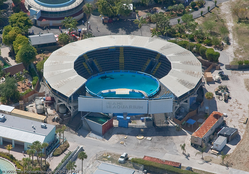 Aquário de Miami Seaquarium Miami