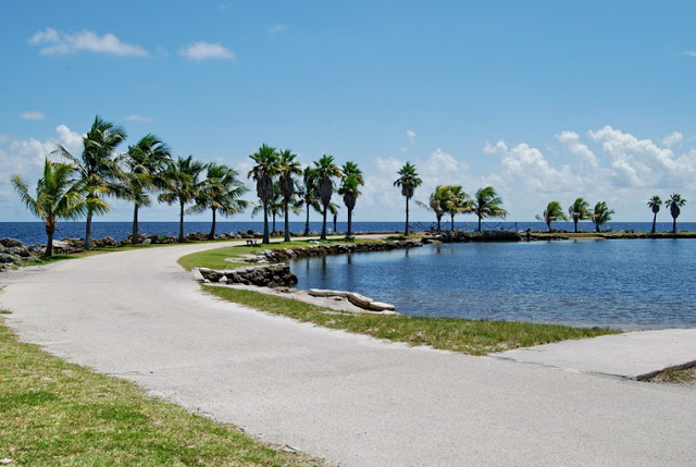 Matheson Hammock Park Miami