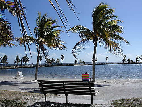 Matheson Hammock Park Miami